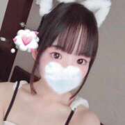 ヒメ日記 2026/07/14 18:47 投稿 かるあ 秋葉原コスプレ学園(AKG)