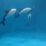 ヒメ日記 2026/07/07 23:03 投稿 さら 大高・大府市・東海市ちゃんこ