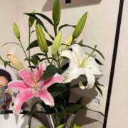 ヒメ日記 2026/07/07 16:41 投稿 ゆりあ すごいエステ 名古屋店