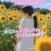 ヒメ日記 2026/07/05 21:00 投稿 小町　まお 妻の本音