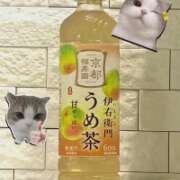 小町　まお おはようございます( ˶˙ᵕ˙˶ )最近のマイブーム🍵🩵´- 妻の本音