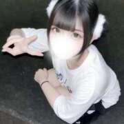 ヒメ日記 2026/06/20 06:23 投稿 ネコ 川崎美女革命