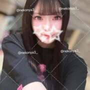 ヒメ日記 2026/06/26 22:20 投稿 ネコ 川崎美女革命