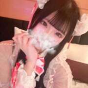 ヒメ日記 2026/07/05 14:16 投稿 ネコ 川崎美女革命
