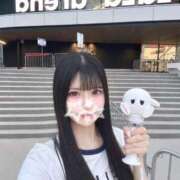 ヒメ日記 2026/07/07 23:23 投稿 ネコ 川崎美女革命