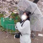 ヒメ日記 2026/06/03 09:49 投稿 りず☆ 粋美　suibi