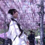 ヒメ日記 2026/06/30 10:02 投稿 りず☆ 粋美　suibi