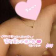 ヒメ日記 2026/08/28 13:48 投稿 ゆな One More 奥様 所沢店