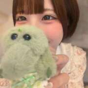 ☆Aqua【アクア】☆ 🐊ワニクイズ答え合わせ🐊 ピンクコレクション尼崎店
