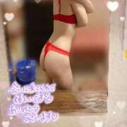 ヒメ日記 2026/06/25 21:29 投稿 ウルハ ルパン