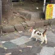 ヒメ日記 2026/07/09 15:38 投稿 さら（さら）ベーシック新人 aroma ace.