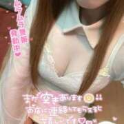 ヒメ日記 2026/07/01 17:34 投稿 蘭(ラン)【観察範囲が背徳感】 美魔女コレクション別府店