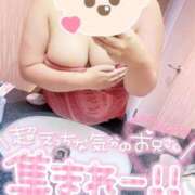 ヒメ日記 2026/06/03 10:18 投稿 にこ 成田富里インターちゃんこ