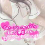ヒメ日記 2026/09/15 21:06 投稿 みき(昭和59年生まれ) 熟年カップル名古屋～生電話からの営み～