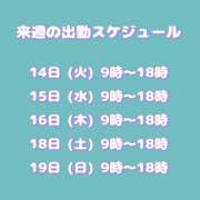 ヒメ日記 2026/07/13 00:27 投稿 ありす アレグリア