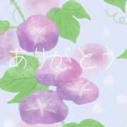 早川 お礼です🌼 熟女待機所 厚木店