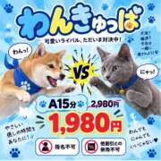ヒメ日記 2026/09/09 18:48 投稿 みゆき 2980円（にゃんきゅっぱ）