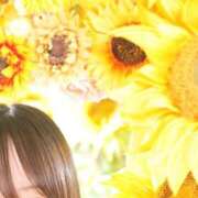 水城 こはる 楽しみ🌻 クラブダンディー