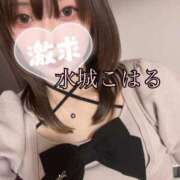 ヒメ日記 2026/08/07 06:06 投稿 水城 こはる クラブダンディー