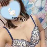 ヒメ日記 2026/09/08 10:35 投稿 水城 こはる クラブダンディー