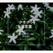 ヒメ日記 2026/06/07 08:31 投稿 真矢(マヤ) アバンチュール(五反田)