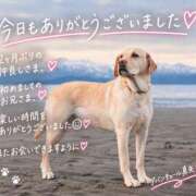 ヒメ日記 2026/09/19 20:31 投稿 真矢（マヤ） アバンチュール(五反田)