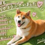 ヒメ日記 2026/09/25 21:16 投稿 真矢（マヤ） アバンチュール(五反田)