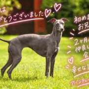 ヒメ日記 2026/10/01 21:16 投稿 真矢（マヤ） アバンチュール(五反田)
