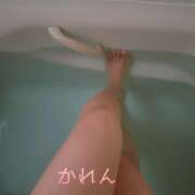 ヒメ日記 2026/06/13 05:28 投稿 かれん 蒼いうさぎ