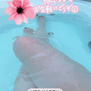 ヒメ日記 2026/07/09 05:10 投稿 かれん 蒼いうさぎ