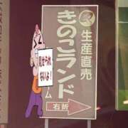 ヒメ日記 2026/09/24 21:12 投稿 きのこ アラカルト