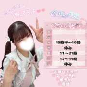 ヒメ日記 2026/08/06 10:20 投稿 ひめの ピンクコレクションBabyキタ兎我野店