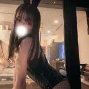 ヒメ日記 2026/06/13 19:01 投稿 よる JAPAN CLUB BUNNY LOUNGE