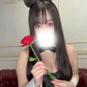ヒメ日記 2026/06/16 22:01 投稿 よる JAPAN CLUB BUNNY LOUNGE