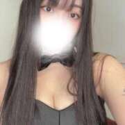 ヒメ日記 2026/07/01 10:16 投稿 よる JAPAN CLUB BUNNY LOUNGE