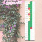 ヒメ日記 2026/06/29 10:23 投稿 こは 萌えカワ