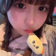 れの おきにいりのいぬ E+アイドルスクール新宿・歌舞伎町店