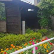ヒメ日記 2026/09/06 16:54 投稿 東さくらこ アラフォーna奥様 アラフィフna奥様（埼玉ハレ系）
