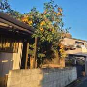 ヒメ日記 2026/10/15 17:17 投稿 東さくらこ アラフォーna奥様 アラフィフna奥様（埼玉ハレ系）