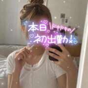 ヒメ日記 2026/06/04 09:12 投稿 ルル Beppin house