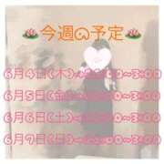 ヒメ日記 2026/06/04 07:15 投稿 すいれん 成田人妻花壇