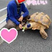 ヒメ日記 2026/08/05 16:04 投稿 時田奏 五十路マダムエクスプレス船橋店(カサブランカグループ)