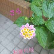 ヒメ日記 2026/06/26 05:20 投稿 宮瀬さら セカンドパートナー本店