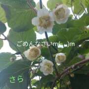 ヒメ日記 2026/06/27 07:50 投稿 宮瀬さら セカンドパートナー本店
