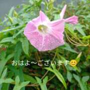 ヒメ日記 2026/07/03 06:40 投稿 宮瀬さら セカンドパートナー本店