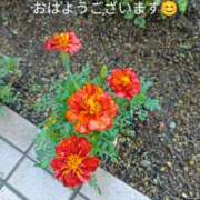 ヒメ日記 2026/07/04 07:55 投稿 宮瀬さら セカンドパートナー本店