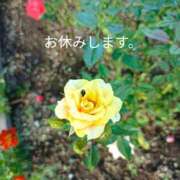ヒメ日記 2026/07/08 07:10 投稿 宮瀬さら セカンドパートナー本店