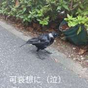 ヒメ日記 2026/07/10 16:10 投稿 宮瀬さら セカンドパートナー本店