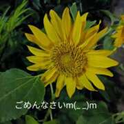 ヒメ日記 2026/07/11 07:30 投稿 宮瀬さら セカンドパートナー本店