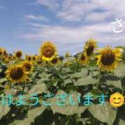 ヒメ日記 2026/07/28 06:35 投稿 宮瀬さら セカンドパートナー本店